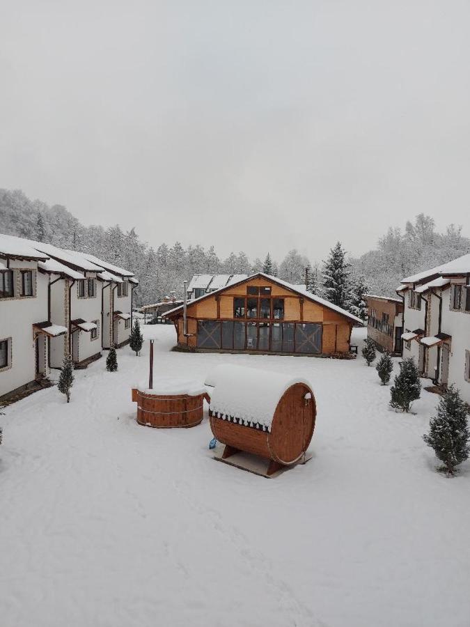 Domeniul Roa Hotel Avrig Exterior photo